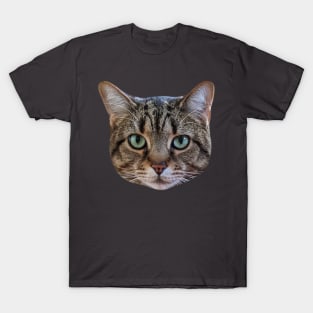 Tabby Cat Lover Brown Tabby Cat Owner Tabby Cat Mom T-Shirt